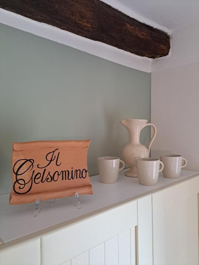 Il Gelsomino Apartment Pitigliano Dış mekan fotoğraf