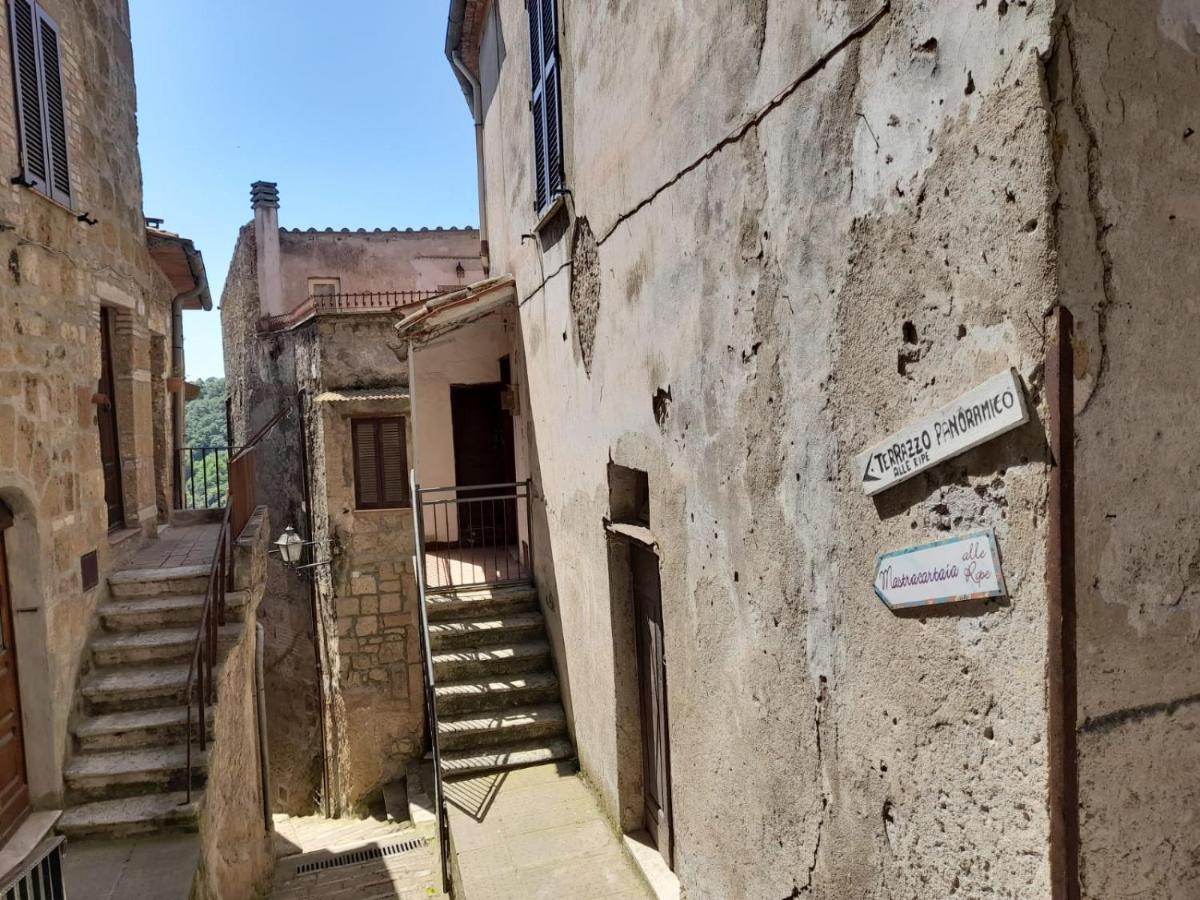 Il Gelsomino Apartment Pitigliano Dış mekan fotoğraf