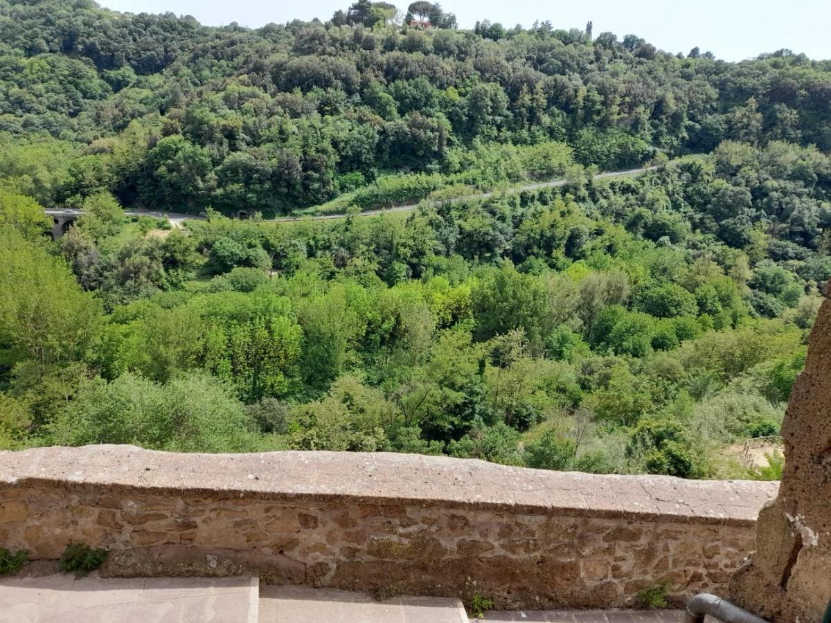 Il Gelsomino Apartment Pitigliano Dış mekan fotoğraf
